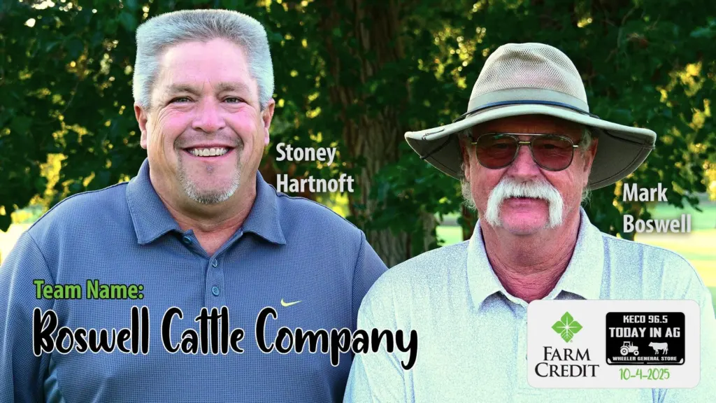 boswell-cattle-company-min
