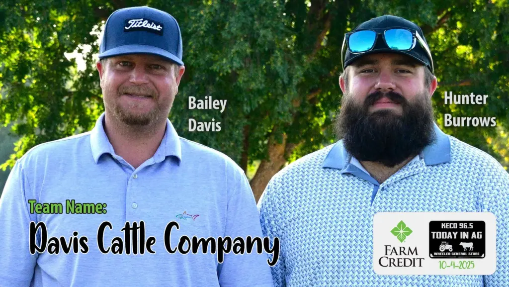 davis-cattle-company-min