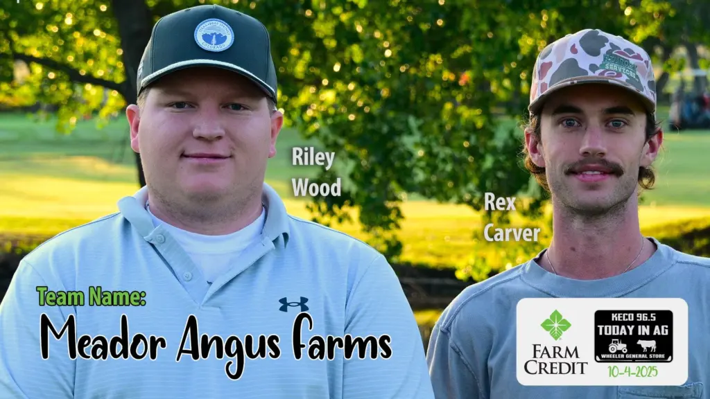 meador-angus-farms-min