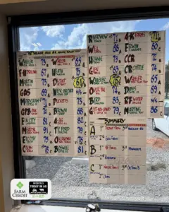 scores-ofibquis