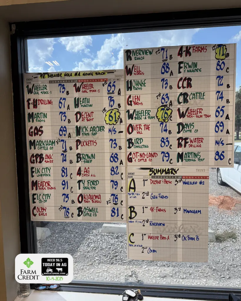 scores-ofibquis