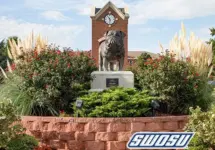 2602260827_blank803821