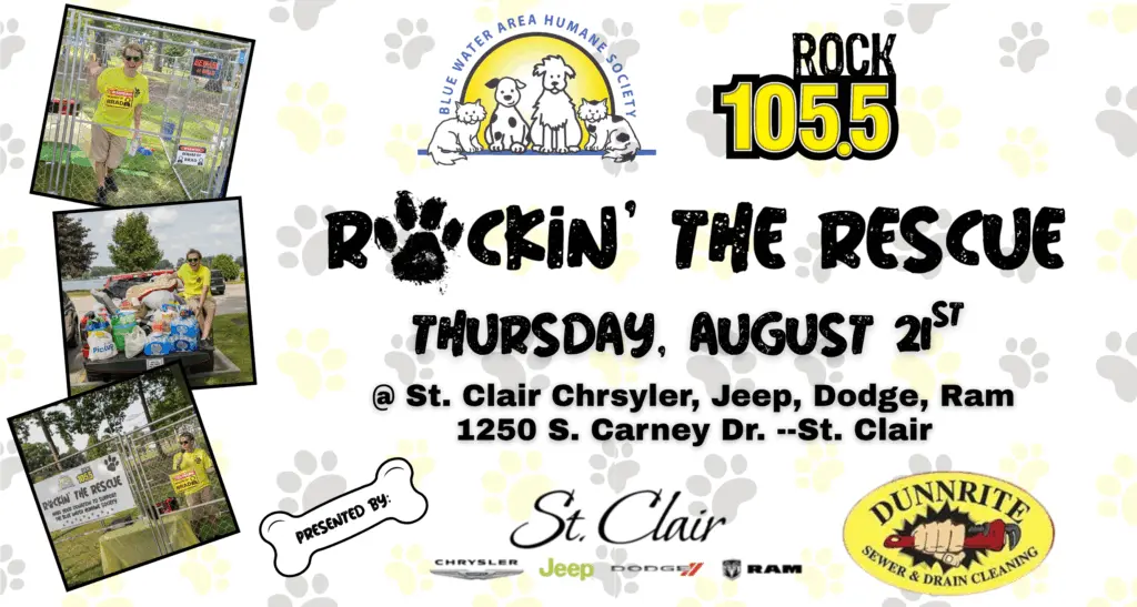 rockintherescue_flipper2025