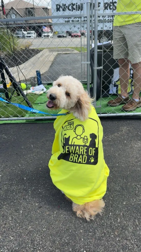 515282782_1346693857460231_2053521173585555502_n