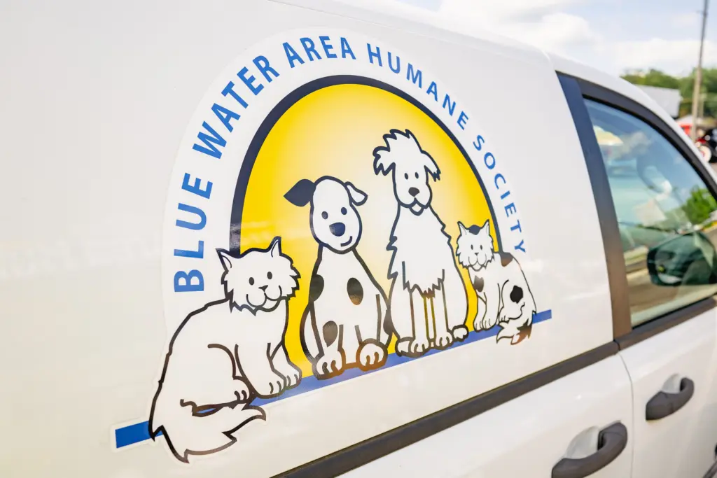 rockintherescue_2025-20