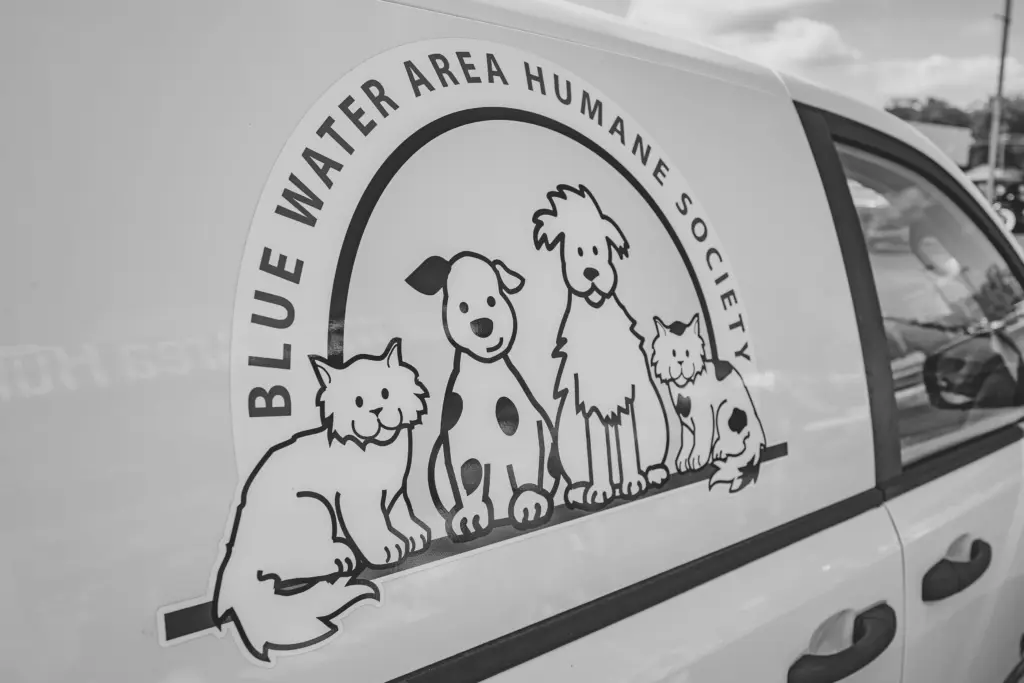 rockintherescue_2025-21