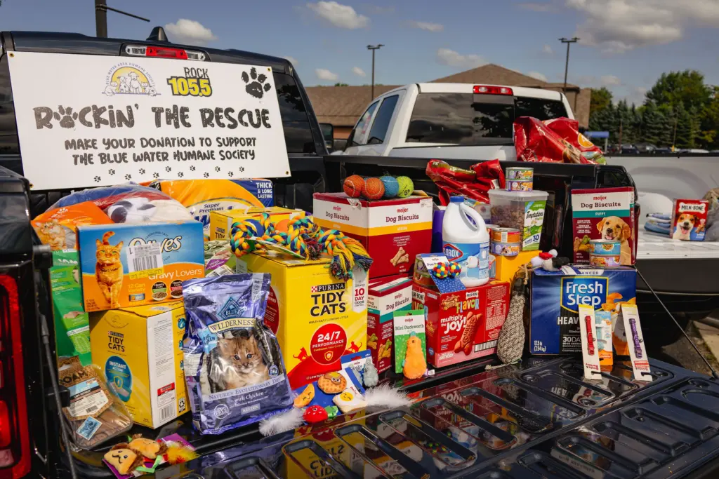 rockintherescue_2025-26