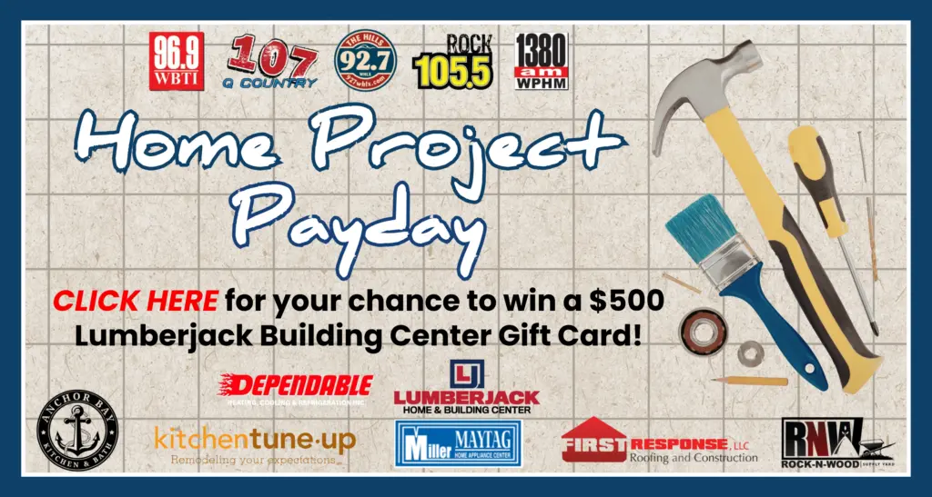 homeprojectpayday_flipper1