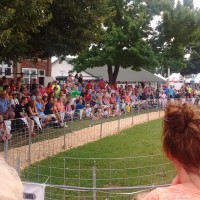 rock-county-fair-pig-races