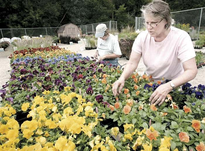 Rotary Botanical Gardens hosts spring plant sale WCLO