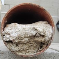 flushable-wipes-sewer-pipe