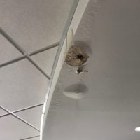 milton-library-ceiling-roof-leak