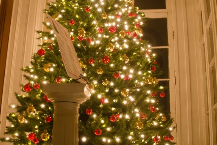 Rock County Historical Society seeks holiday tree sponsors - Vimarsana News