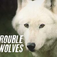 the-trouble-with-wolves
