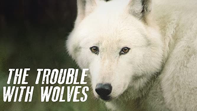 Welty Environmental Center and Beloit Public Library screen "The Trouble with Wolves" - Vimarsana News