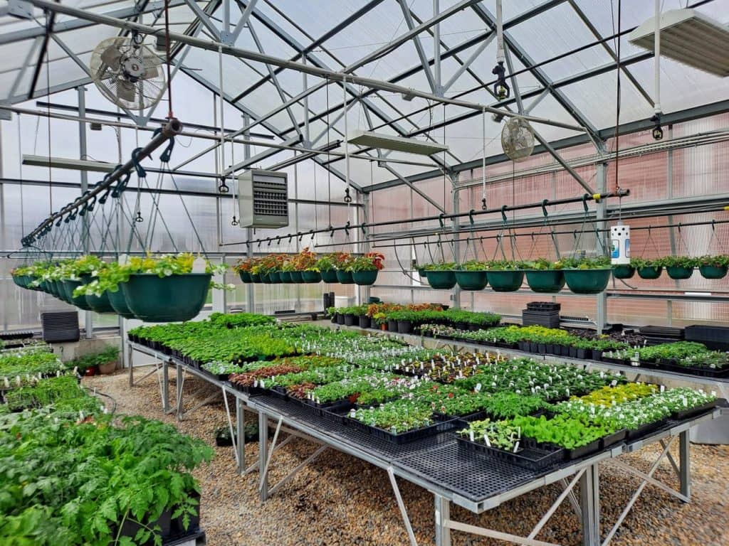 Parkview Ag. Department and FFA Greenhouse Plant Sale