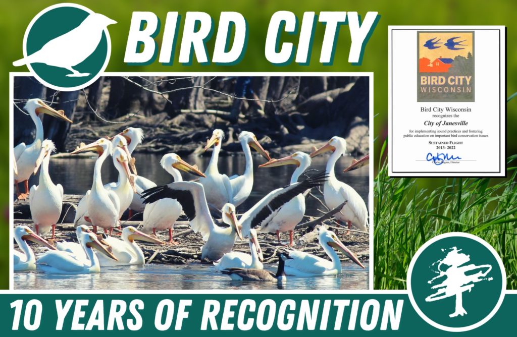 Janesville named Bird City USA WCLO