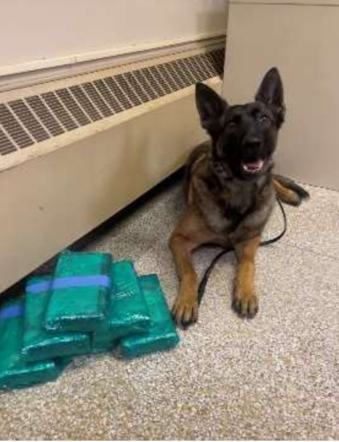 Rock County Sheriff's Office seizes 7 kilos of cocaine from vehicle on I-39/90 - Vimarsana News
