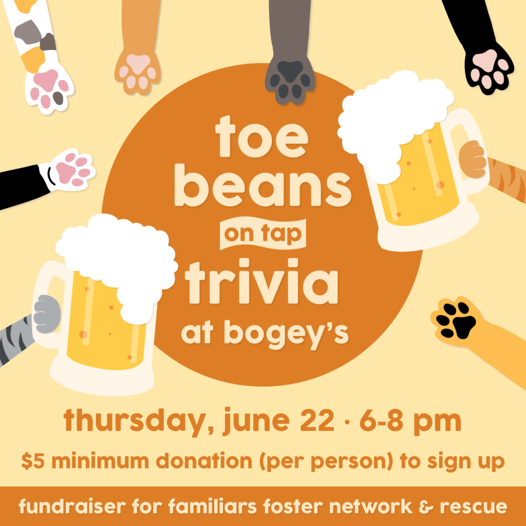 Toe Beans on Tap Trivia