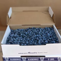 blueberry-sale-fundraiser