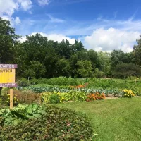 uw-w-campus-garden