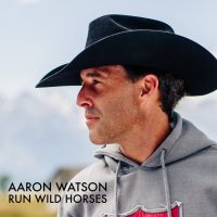 watson-run-wild-horses