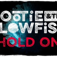 hootie-and-the-blowfish-hold-on