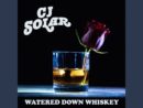 cjsolar-watered-down-whiskey