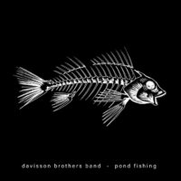 davisson-brothers-band