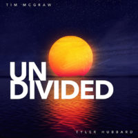 mcgraw-hubbard-undivided-cover-art