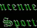 vincennes-sports-jpg-170