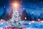 Christmas Tree And Gift Boxes On Snow In Night With Shiny Star and Forest - Winter Abstract Landscape