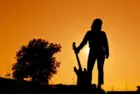 Silhouette Hipster woman with guitars in the meadow.