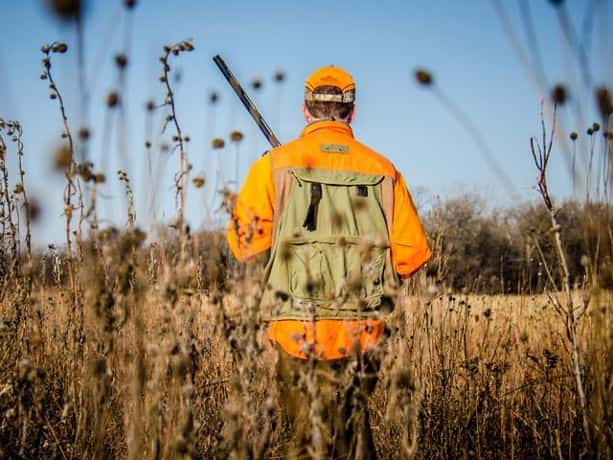 Michigan DNR urges hunters to wear orange for turkey season | Sanilac ...