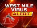 west-nile-virus-alert-650x400
