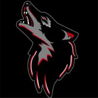 sandusky-wolves-logo