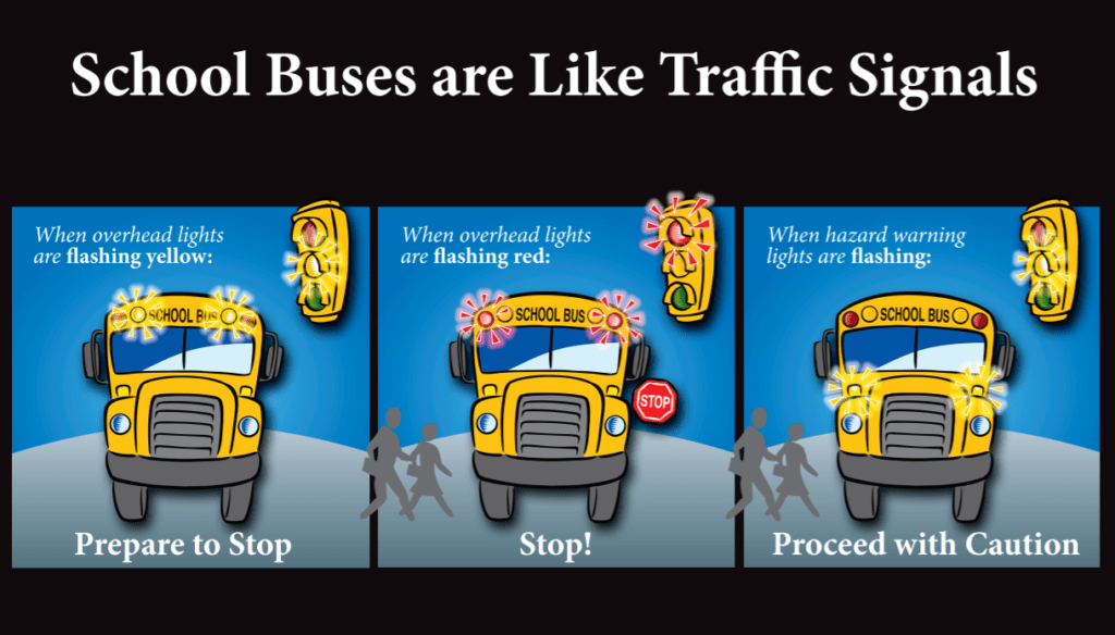 School Bus Safety Week Starts Oct. 16: What Drivers Need To Know ...