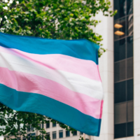 transgender-flag-business986406