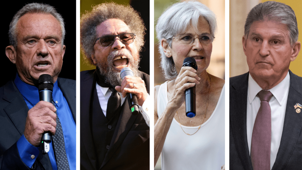 4 alternative presidential candidates — and how they might impact the
