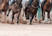 istock_081121_horseracing