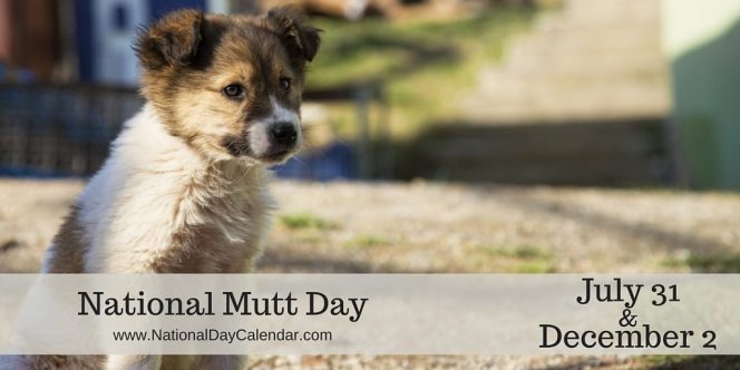 It's National Mutt Day!! | KPAT