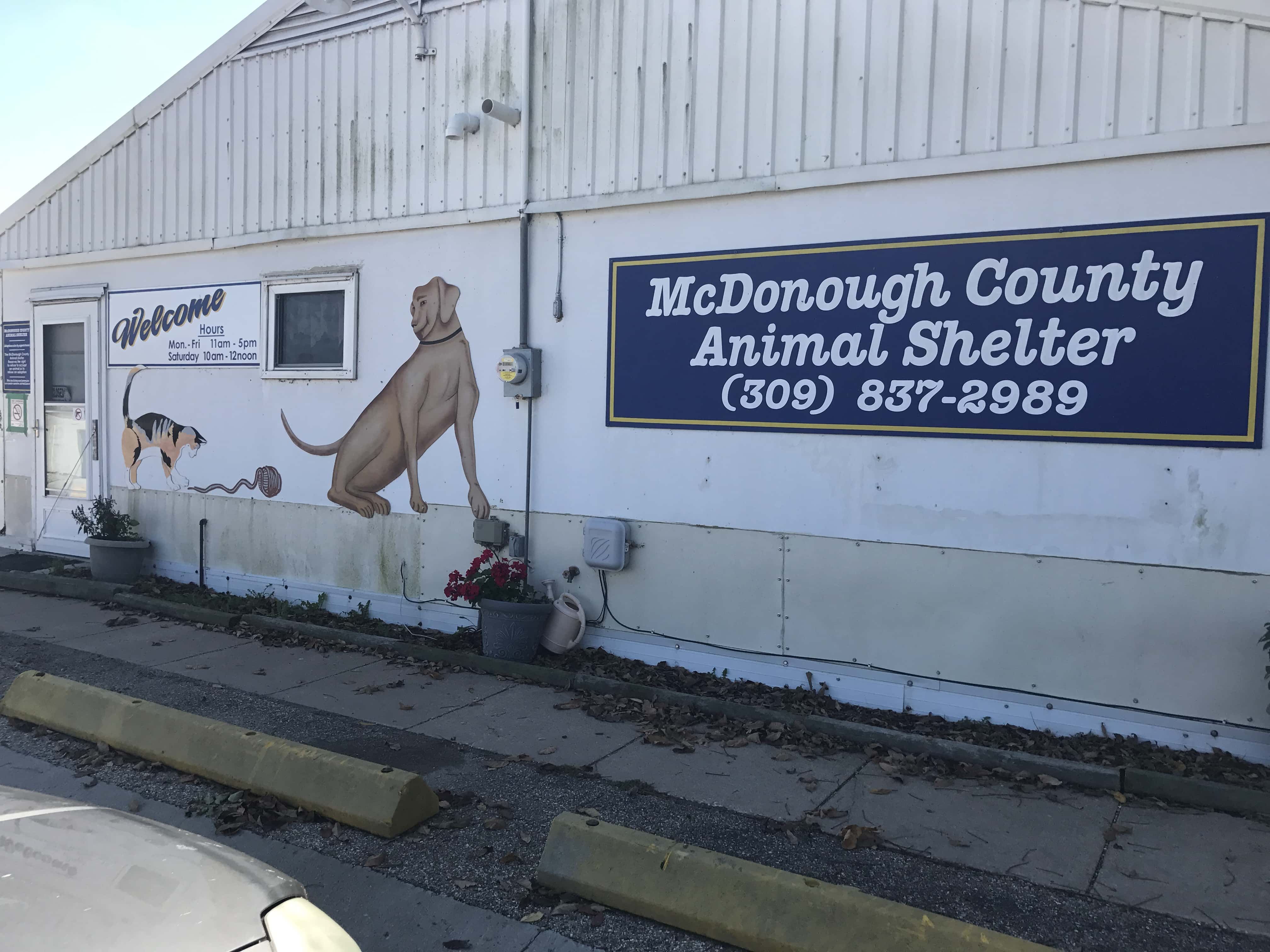Kanawha County Animal Shelter Charleston Wv - kdrp4u9