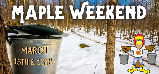 hawk-maple-wknd-2025