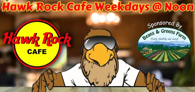 hawk-rock-cafe-flipper-with-bg-062025