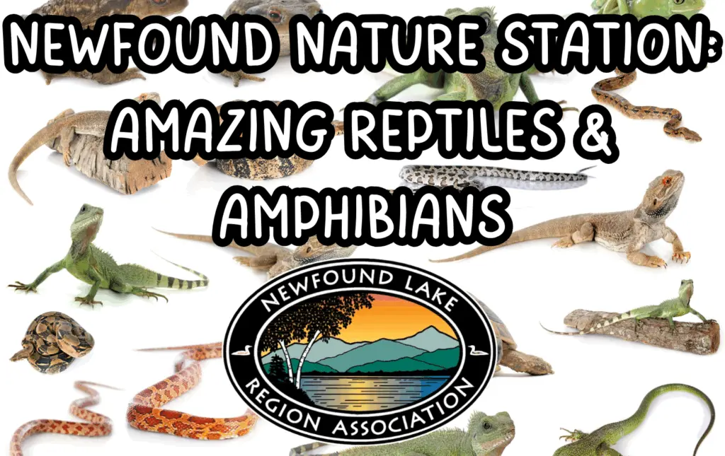 reptiles-amphibians-com-calendar-082025