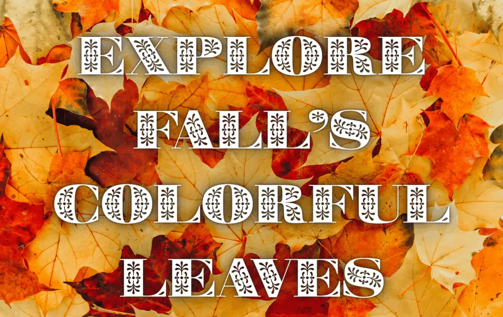 colorful-leaves-comm-cal