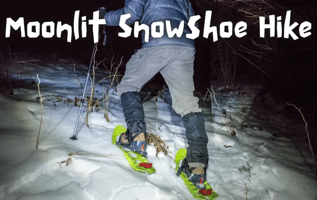 moonlit-snowshoe-hike