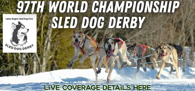 sled-dog-derby-flipper-2026
