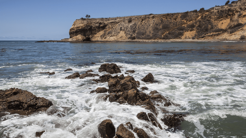 1 dead, 2 seriously injured after 4 people fall down 300-foot cliff in Southern California - Vimarsana News