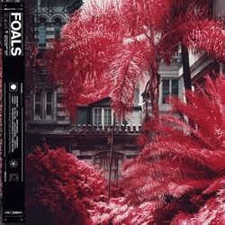 foals-blog-feat-pic